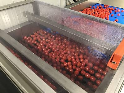 Koppert-Machines-Cherrytomaten-was-drooglijn