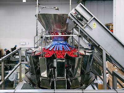Koppert-machines-multihead-weger-radijs-snacktomaat