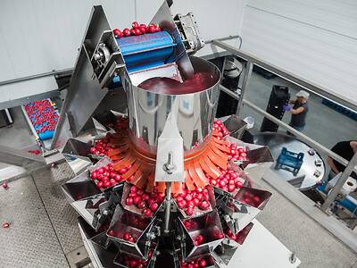 Koppert-machines-multihead-weger-radijs-snackgroente