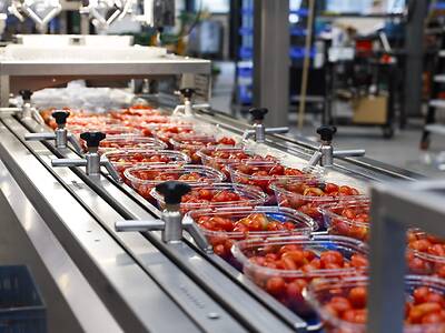 Koppert-Machines-Multipacker-verpakken-tomaat-snackgroente