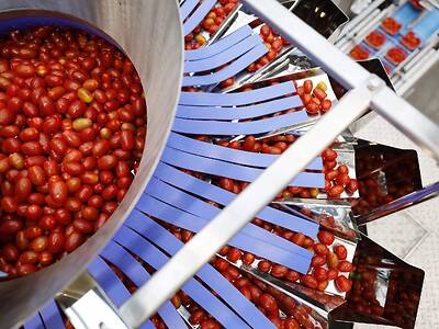 Koppert-Machines-Multipacker-verpakken-tomaat-snackgroente