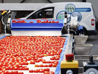 Koppert-Machines-Multipacker-verpakken-tomaat-snackgroente