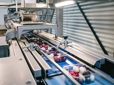 Koppert-Machines-Multipacker-verpakken-radijs-snackgroente