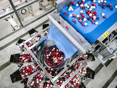 Koppert-Machines-Multipacker-verpakken-tomaat-snackgroente
