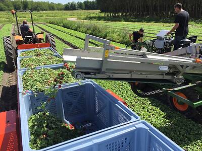 Koppert-Machines-Oogstmachine-buiten-oogsten