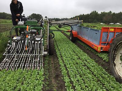 Koppert-Machines-Oogstmachine-buiten-oogsten