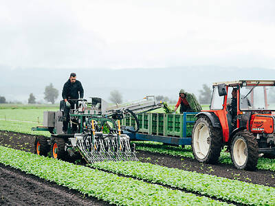 Koppert-Maschinen-Erntemaschine-im-Freien-ernten