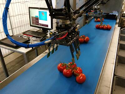 Koppert-machines-robotisering-verwerking-tomaat