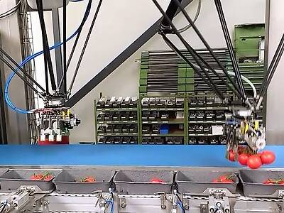 Koppert-machines-robotisering-verwerking-tomaat