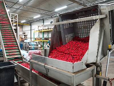 Koppert-Machines-Radijs-thurlings-radijs-verpakkingslijn