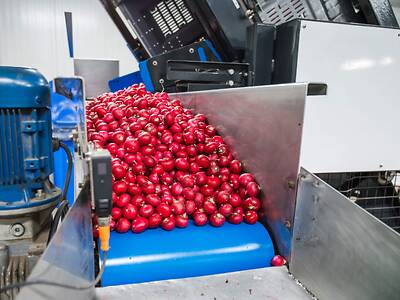Koppert-Machines-Radijs-verticale-verpakker