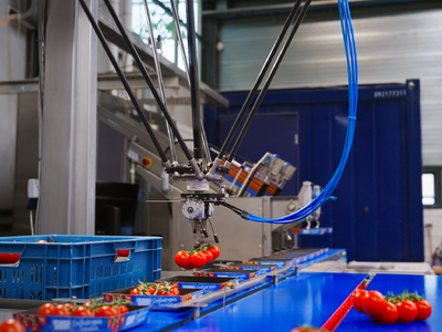 Koppert-Machines-SmartPicker-trostomaat