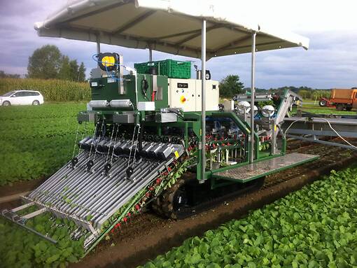 Koppert-machines-Outdoor-radish-harvesting-machine