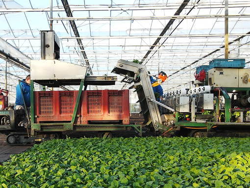 Koppert-machines-intern-transport