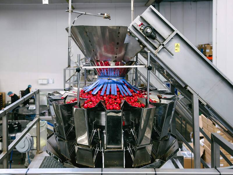 Koppert-machines-multihead-weger-radijs-snacktomaat