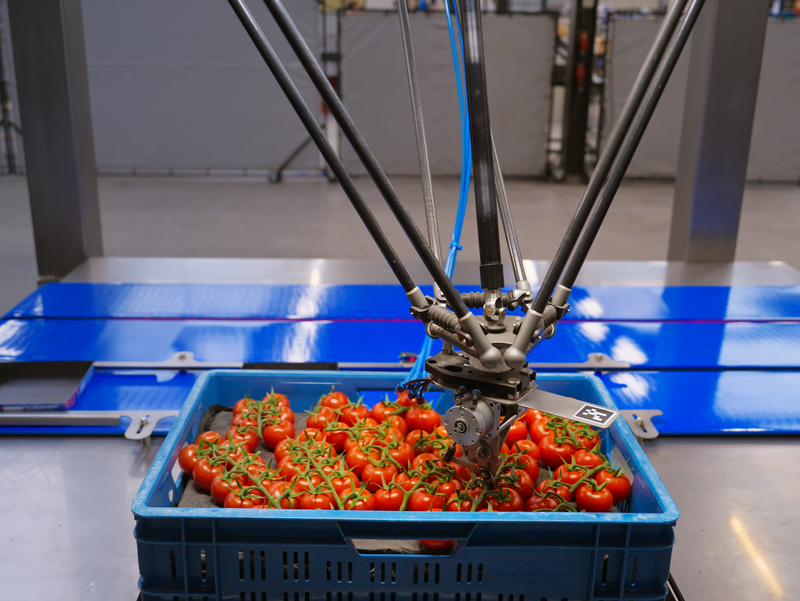 Koppert-Machines-SmartPicker-trostomaat